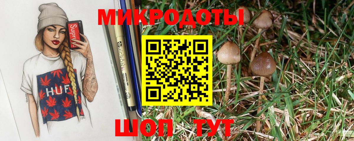 Галлюциногенные грибы MAGIC MUSHROOMS  Вход с VPN  Прохладный 