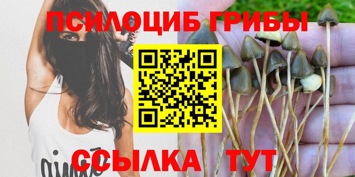 Галлюциногенные грибы мицелий Прохладный