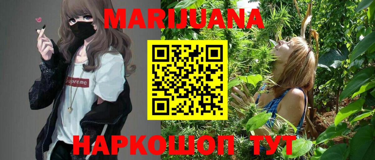 МАРИХУАНА план  Конопля MAZAR  Прохладный  Каннабис планчик 